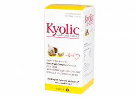 Kyolic Aged Garlic Extract Original Flytende 60 ml 